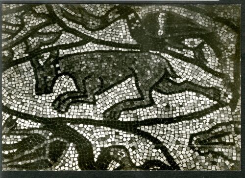 Carte Postale Abbazia Di Pomposa, Ferrara, Mosaico Bizantino, 1300