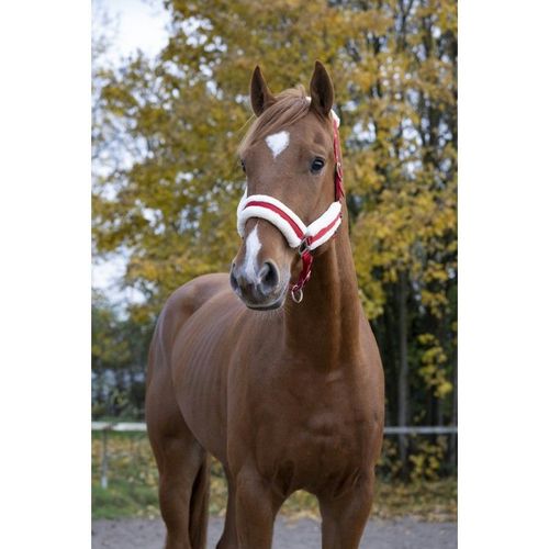 Licol Norton "Confort" - Couleur : Rouge, Bouclerie Coloris Argenté, Taille : Cheval