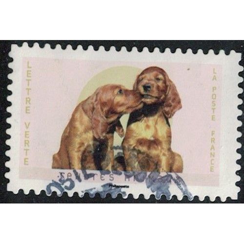 France 2023 Oblitéré Used Tendres Animaux Chiens Setter Irlandais Y&t Fr 2252 Su
