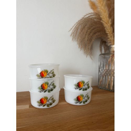 Vintage Lot De 5 Ramequins Arcopal Fruits Du Verger