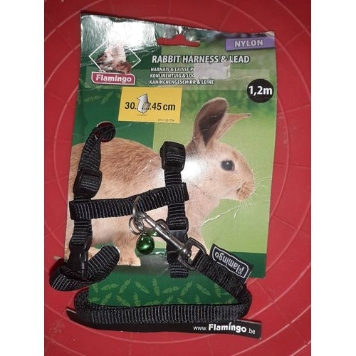 Harnais Lapin 30-45 Cm 1,2m