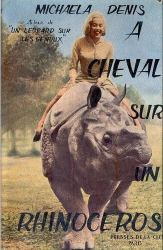 A Cheval Sur Un Rhinocéros.