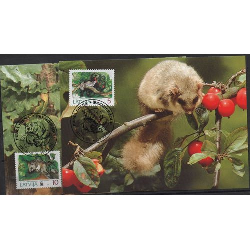 Lettonie Cartes Postales Les Rongeurs 1994