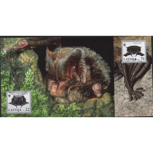 Lettonie Cartes Postales Animaux Les Chauve-Souris 2008