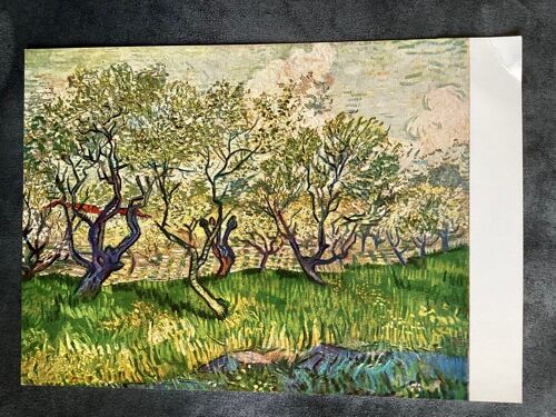 Carte Postale Vincent Van Gogh / Verger En Fleur