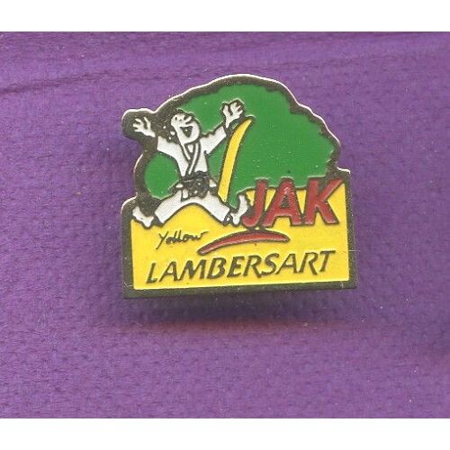 Rare Pins Arts Martiaux Lambersart B308