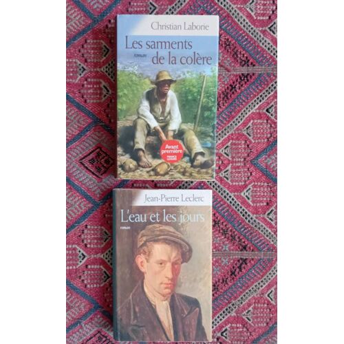 Lot De 2 Livres Reliés : L'eau Et Les Jours De Jean-Pierre Leclerc +Les Sarments De La Colère De Christian Laborie. Excellent Ét