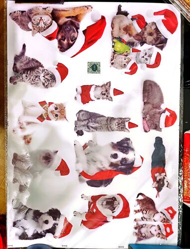 Stickers géant chien mignon et chat taille 60x90cm décoration mural chambre salon couloir/ M4