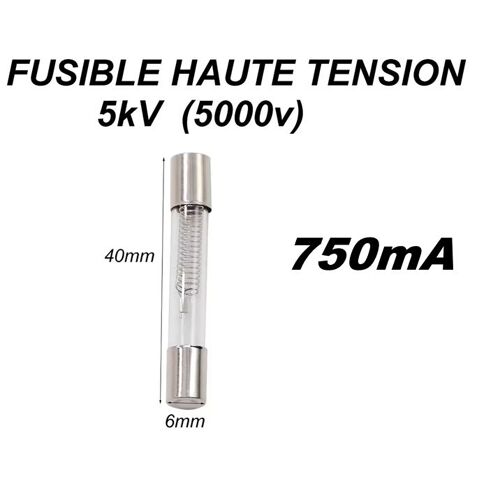 Fusible en Verre 5kV 750mA Idéal pour Micro-ondes & Électronique