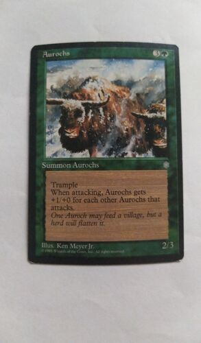 Aurochs // Aurochs (Ere Glaciaire)