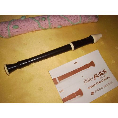 Flûte À Bec Pour Le Collège