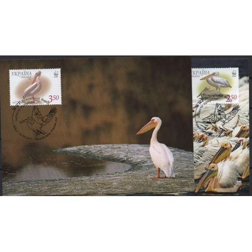 Ukraine Cartes Postales Les Oiseaux 2007