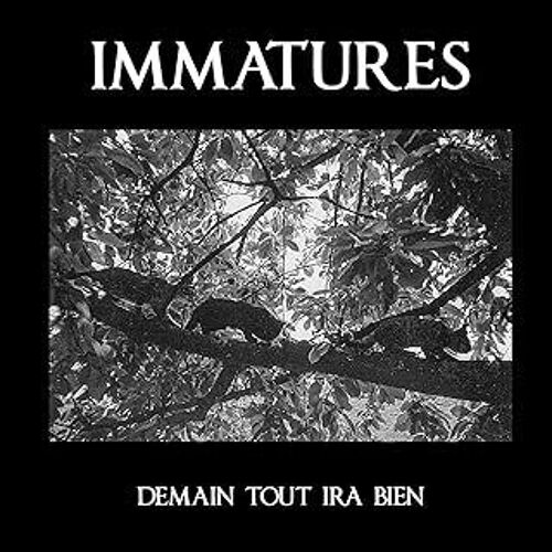 Immatures - Demain Tout Ira Bien