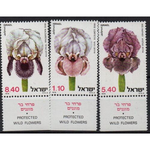 Israël Timbres Fleurs : Les Orchidées 1978