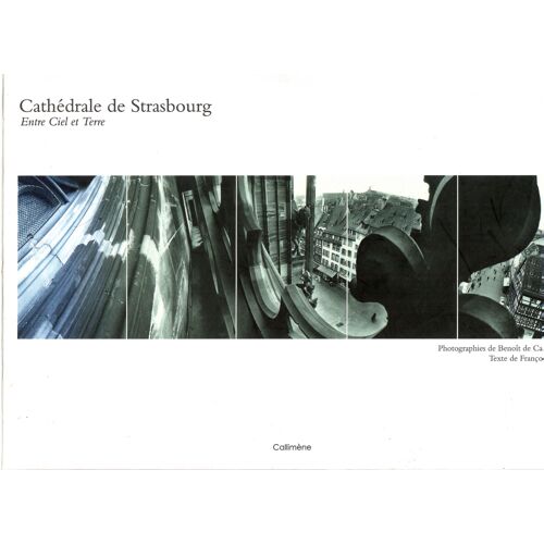 Cathédrale De Strasbourg Entre Ciel Et Terre - Photographies Panoramiques De Benoît De Carpentier - Texte De François Pétry 2008