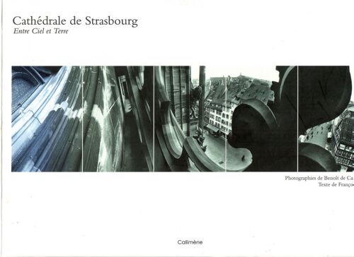Cathédrale De Strasbourg Entre Ciel Et Terre - Photographies Panoramiques De Benoît De Carpentier - Texte De François Pétry 2008