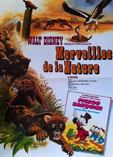 Merveilles De La Nature / Walt Disney - Affiche Originale De Cinéma - Format 40x60 Cm - De James Algar / Winston Hibler / The Best Of Walt Disney's True-Life Adventures - Année 1975