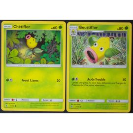 Gardiens Ascendants - Chétiflor (1) + Boustiflor (2/145)