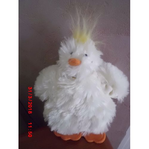 Poule Avec Pouet Pouet Central Vet
