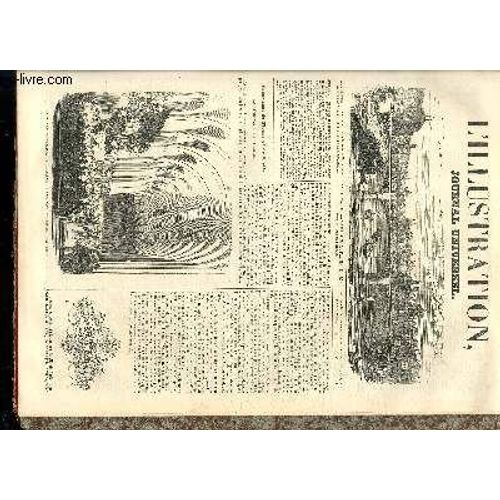 L'illustration Journal Universel N° 31 -  Exposition «Le Fleurs El De Fruits Dans L'orangerie Des Tuileries. Distribution Des Prix Du Cercle D'horticulture. ¿ Courrier De Paris. ¿ Revue De ...