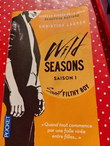 Livre "Wild Seasons 1 - Sweet Filthy Boy" De Christina Lauren