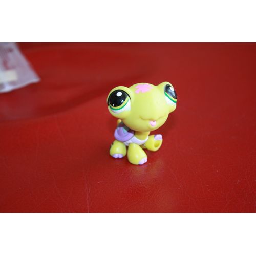 Petshop Tortue 1886