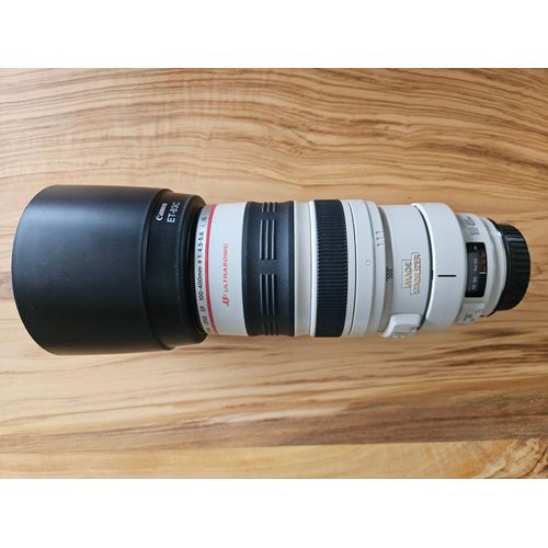 Canon EF 100-400mm f/4.5-5.6L IS USM.