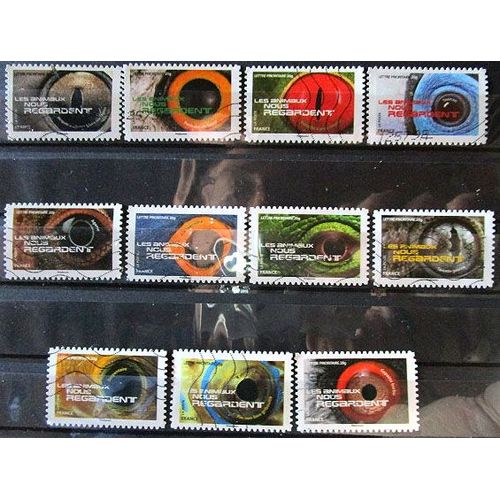 2015. Adh1152;Adh1153;Adh1154;Adh1155;Adh1157;Adh1158;Adh1159; Adh1160;Adh1161;Adh162;Adh1163: Les Animaux Nous Regardent.