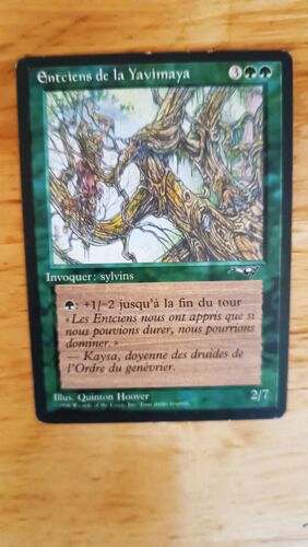 Yavimaya Ancients // Entciens De La Yavimaya V1 (Alliances)