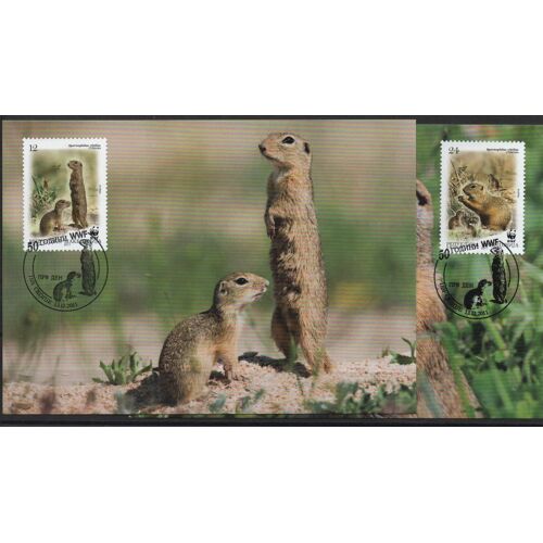 Macédoine Cartes Postales Animaux : Les Rongeur S Wwf