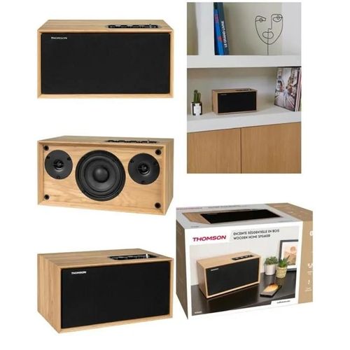 Enceinte Bluetooth amplifiée en Bois VINTAGE sono mobile 100W AUX 6.35mm entrée TV, USB, AUX-IN
