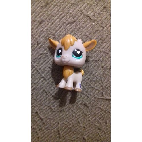 Petshop 2299 Chèvre Orange Beige