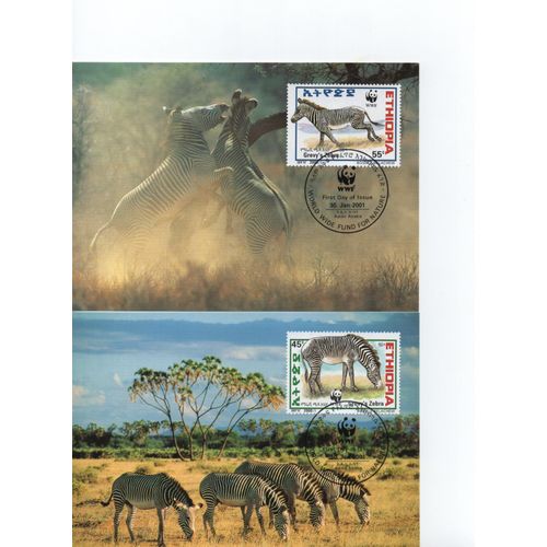 Ethiopie Cartes Animaux Les Zébres