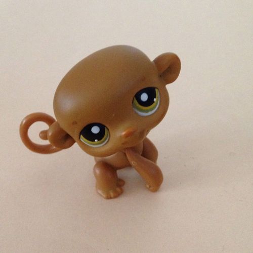 Petshop 267 Singe Orang Outang