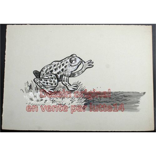 Dessin Presse Original - Humoristique - Grenouille (Freddy, Dessinateur Belge Années 1970-1980) -10