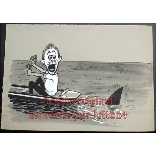 Dessin Presse Original - Humoristique - Aviron Requin (Freddy, Dessinateur Belge Années 1970-1980) - 14