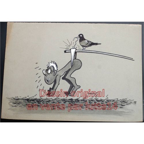 Dessin Presse Original - Humoristique - Natation Plongeon (Freddy, Dessinateur Belge Années 1970-1980) -19