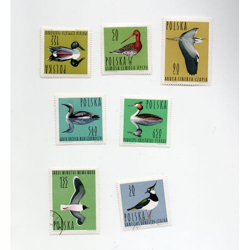Pologne- Lot De 5 Timbres Neufs Et 2 Timbres Oblitérés- Oiseaux