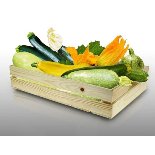 Lot De 80 Graines De Courgettes À Semer - Le Grenier D'abondance - Fan De Courgettes - 7 Variétés