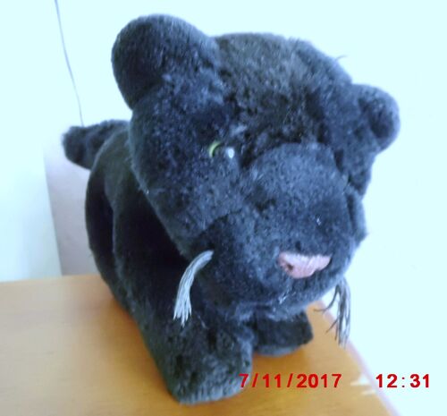 Panthere Noire Parc Asterix