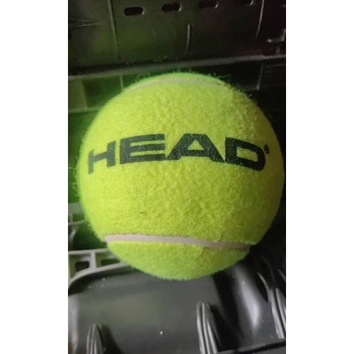 Balle Xxl De Tennis Pour Autographe 'head' Diamètre 13cm Env