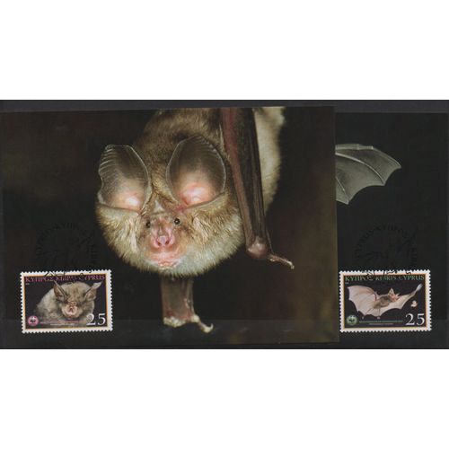 Chypre Cartes Animaux : Les Chauve-Souris