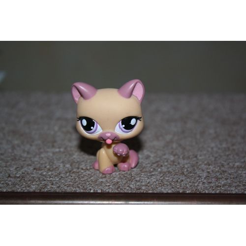 Petshop Chat 1468
