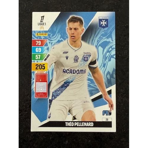 Carte Panini Adrenalyn Xl Ligue 1 2024 2025 : Théo Pellenard