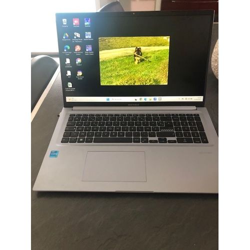 Vivobook ASUS modèle S1702ZA-BX257W - 17.3" Intel Core i3 - Ram 8 Go - SSD 512 Go - Argent