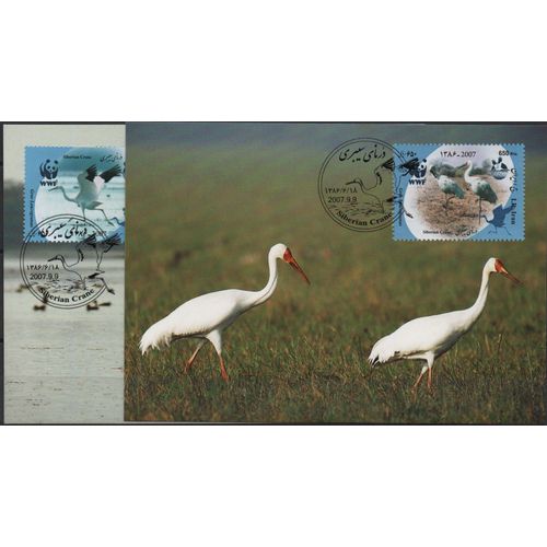Iran Cartes Animaux , Les Grues De Sibérie
