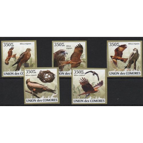Comores Timbres Animaux : Les Aigles 2009 , Non Dentelés