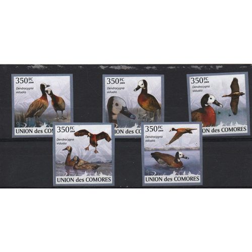 Comores Timbres Animaux : Les Canards 2009 , Non Dentelés