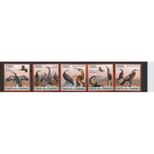 Comores Timbres Animaux : Les Oiseaux , Non Dentelés 2009