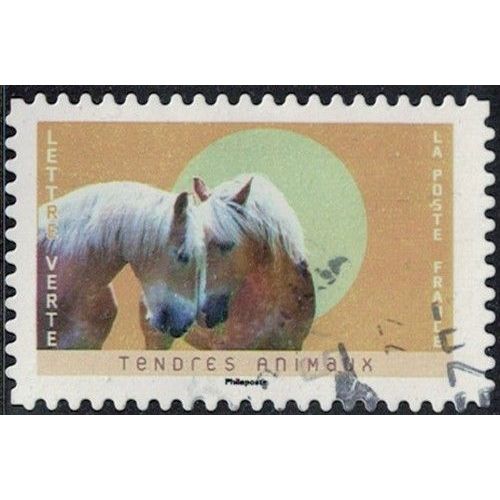 France 2023 Oblitéré Used Tendres Animaux Chevaux Haflinger Y&T Fr 2249 Su